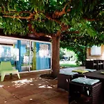 Bed & Breakfast La Des Violettes Toulouse