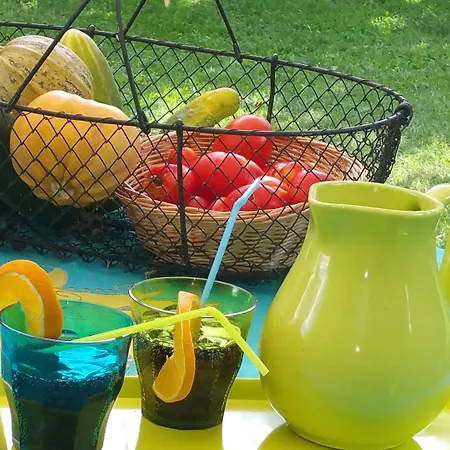 La Des Violettes Toulouse