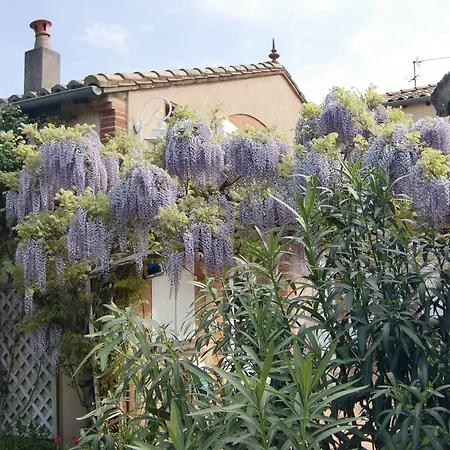 La Des Violettes Frühstückspension 4*