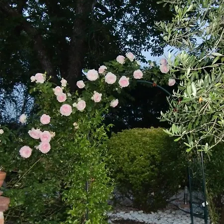 La Des Violettes Oda ve Kahvaltı