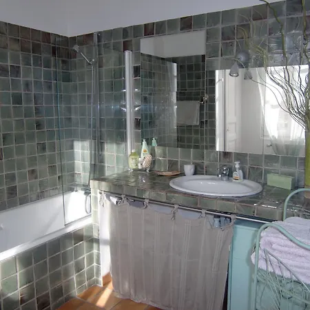 La Des Violettes Toulouse