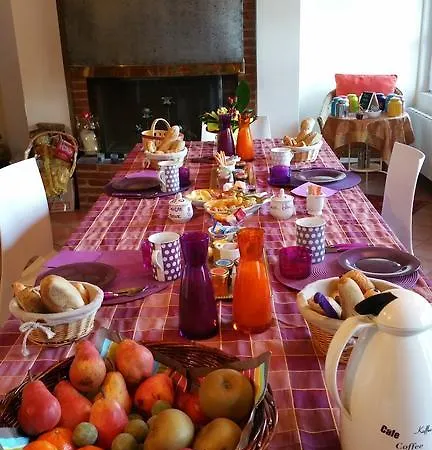 La Des Violettes * Tolosa