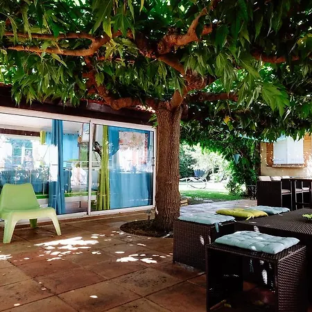 Bed & Breakfast La Des Violettes Tolosa