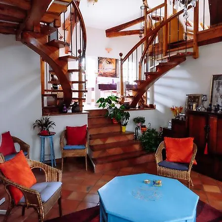 Bed & Breakfast La Des Violettes Tolosa
