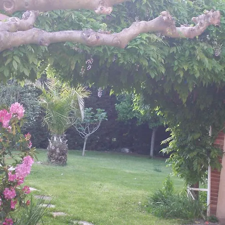 La Des Violettes Bed & Breakfast