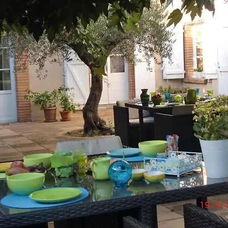 La Des Violettes 4* Тулуза