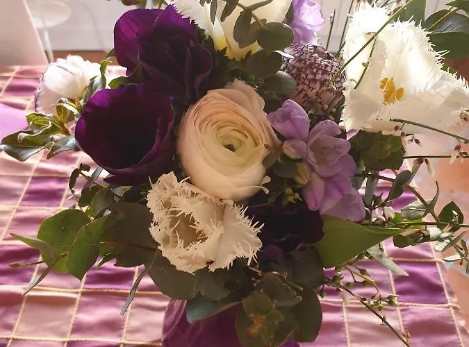 לינה וארוחת בוקר La Des Violettes