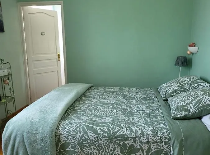 לינה וארוחת בוקר La Des Violettes טולוז