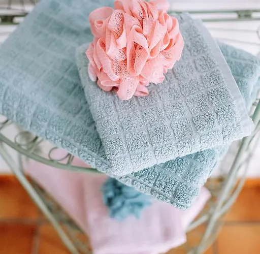 לינה וארוחת בוקר La Des Violettes טולוז