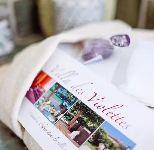 לינה וארוחת בוקר La Des Violettes