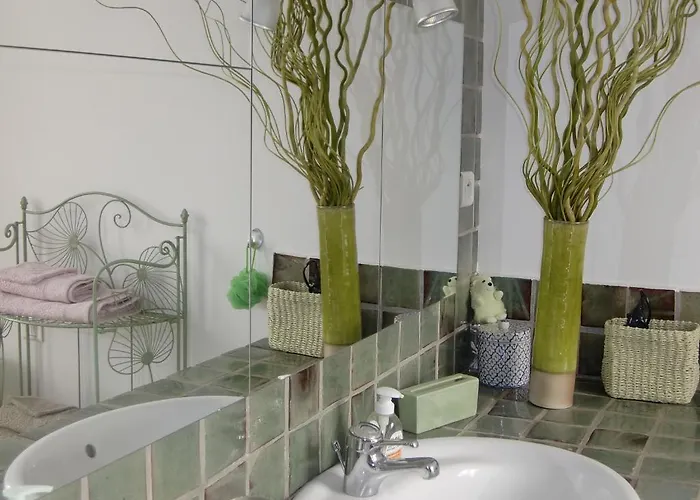 La Des Violettes לינה וארוחת בוקר טולוז