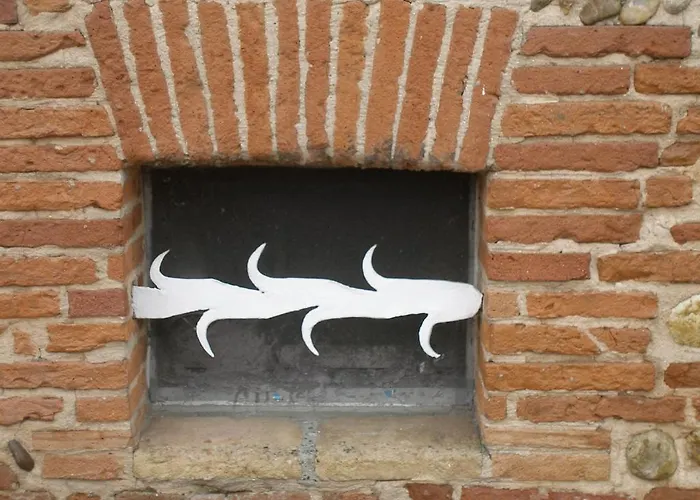 La Des Violettes 4* تولوز