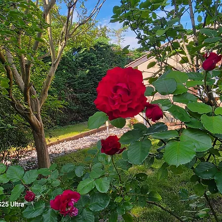 Bed & Breakfast La Des Violettes 4*