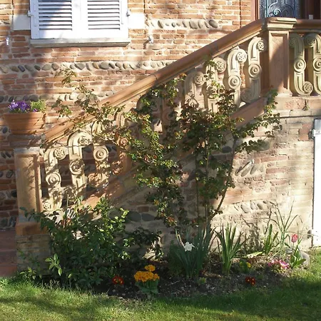 La Des Violettes Toulouse