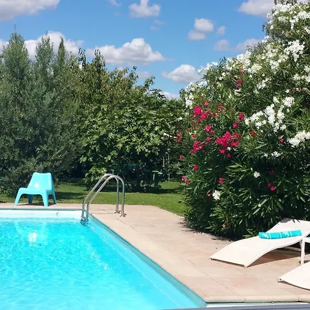 La Des Violettes Toulouse