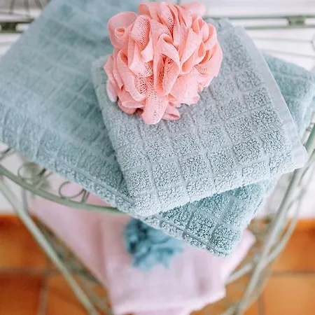 Bed & Breakfast La Des Violettes Toulouse