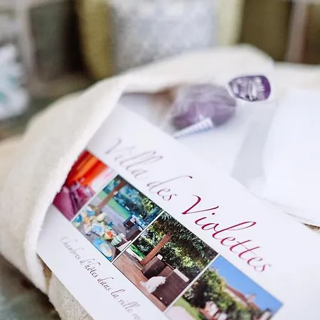 Bed & Breakfast La Des Violettes