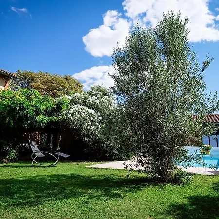 Bed & Breakfast La Des Violettes Toulouse