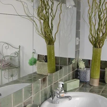 La Des Violettes Bed & Breakfast Toulouse