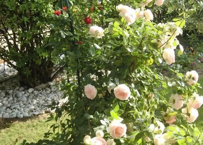 Panzió La Des Violettes Toulouse