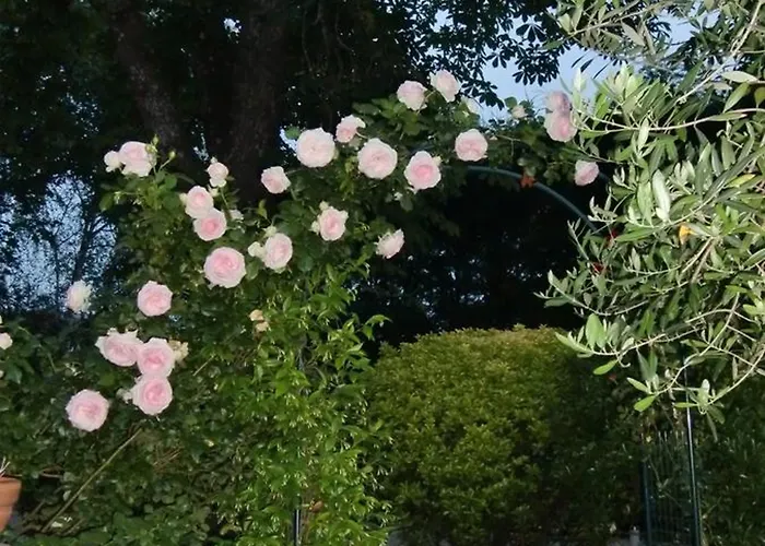 La Des Violettes Panzió